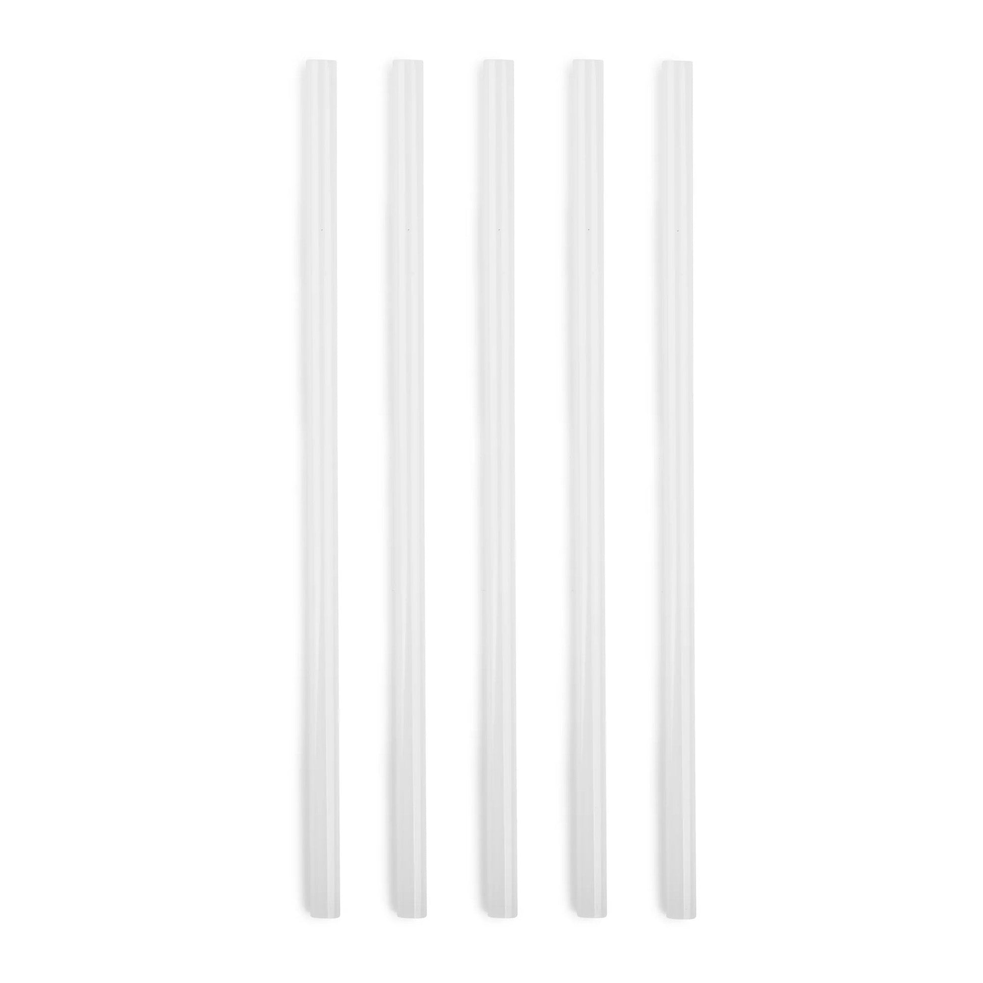 5-piece-replacement-straw-set-for-titan-3l-135-oz-e9 SPY2010_02.jpg